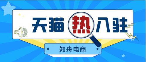 二、怎样入驻天猫到店安装服务？