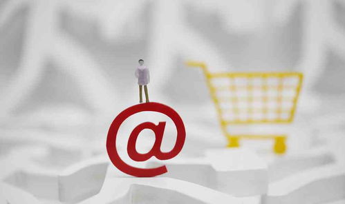 一、 SHEIN在海外市场的大放异彩