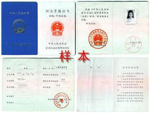 （二）通用标准