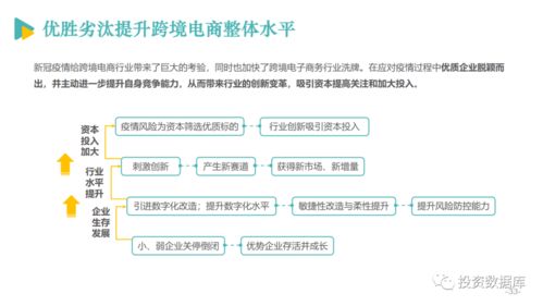 二、 出口退税申报系统操作指南