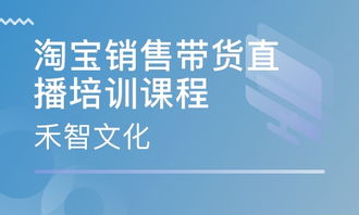 三、 直播带货：新时代的营销利器