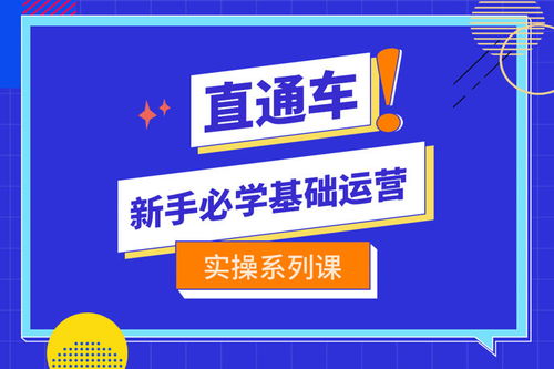4. 学习基础知识