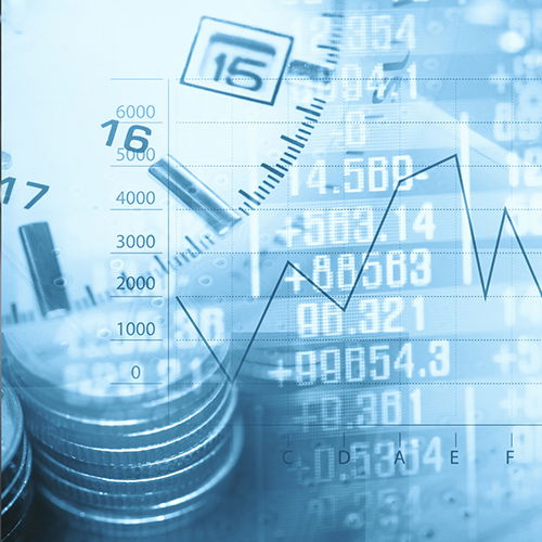 埃及市场风险与机遇：化工产品、 汽车配件与家居用品