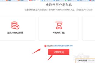 2. 填写分期付款信息
