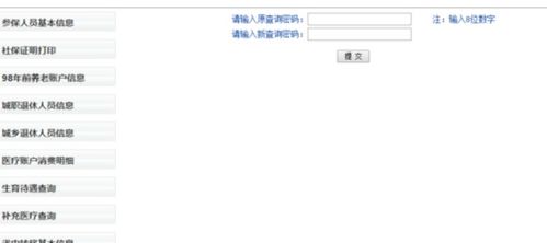 七、 新加坡公司信息查询的重要性
