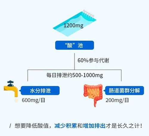 一、 影响网店客流的八个因素