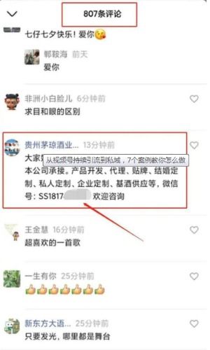 四、 粉丝引流与变现策略