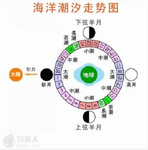 1. 运输方式