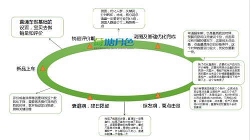三、踩准节奏：把握时机，高效推广