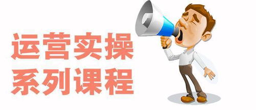 四、 自我学习和实践经验积累