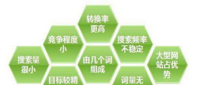 一、 抖店运营规划方案撰写要点