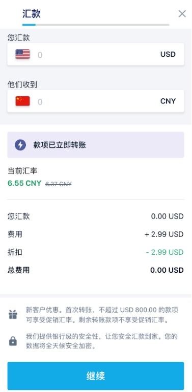 第二步：输入汇款详情