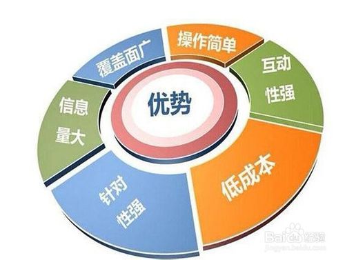 选择适合推广的商品