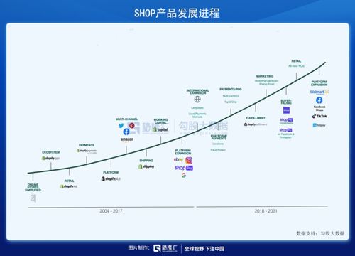 转型过程中的挑战与应对