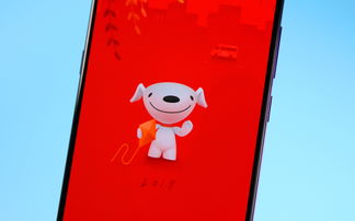 一、 2024年京东春节放假安排