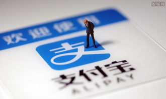 六、 花呗：信用消费，轻松购物