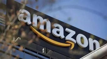 二、 亚马逊自有物流服务解析