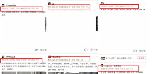 1. 基础款定价策略