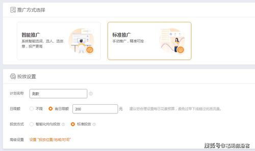 五、 设置出价策略