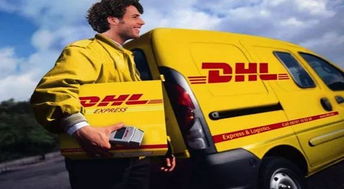 降低国际快递服务运输过程中货物丢失或损坏的风险， 需要在包装、选择快递公司及保险等多个环节采取相应措施