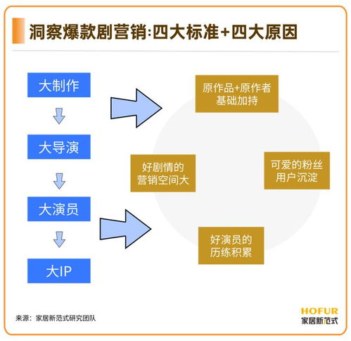 打造多元化商品组合， 实现高效转化