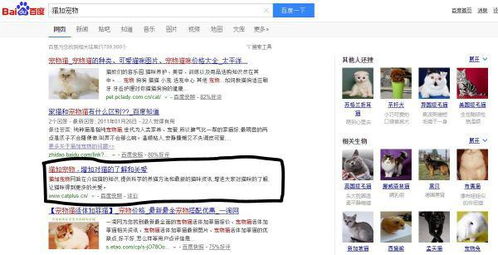 淘宝C店一键铺货的可行性分析