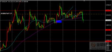 一、 补单数据的内涵与重要性