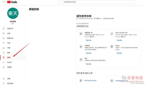 一、 YouTube收益概述