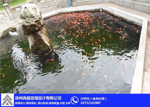 一、 淘宝鱼塘的建立与维护