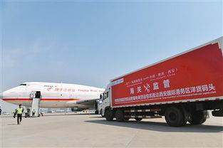 选择合适的运输方式