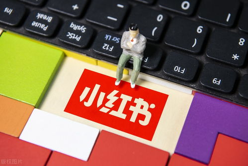 1. 确定违规原因