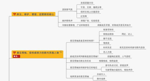 一、 注册前战略布局：精准定位与资源整合