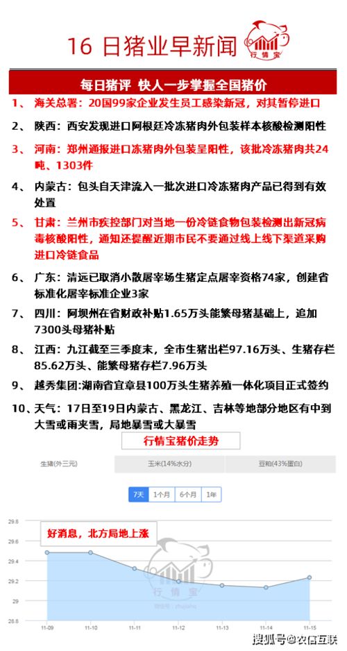 一、 地推补单的实质与平安性考量