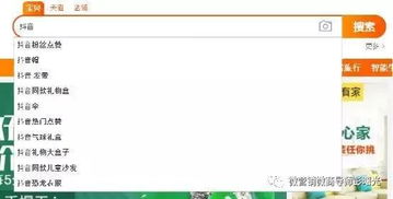 三、 淘特推广的盈利模式