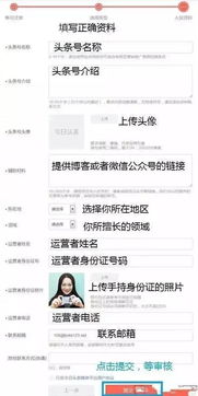 方法四：等待平台审核