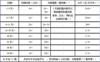 价格调整原则：维护用户购物体验和促进销售