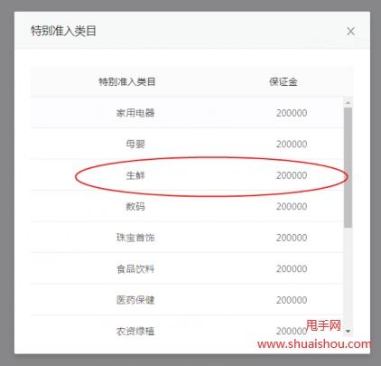 一、 抖音鲁班推广概述