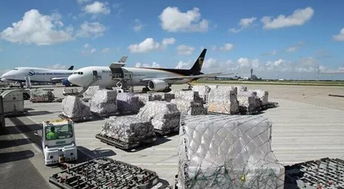 包装要求：确保货物平安抵达的关键