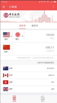 结汇与购汇额度的独立性