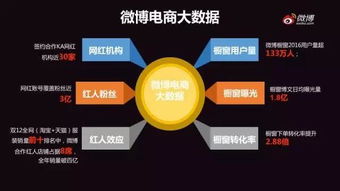 一、 深入了解Kaufland平台规则，确保合规经营