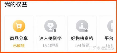 等级与权益的关联