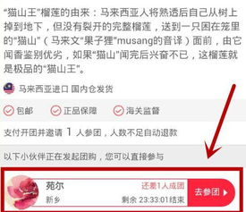 2. 选择合适的拼团时间