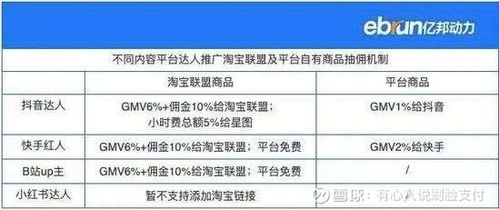 商品明细数据与推广效果