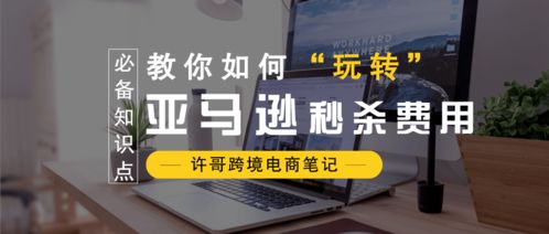 五、 亚马逊秒杀活动参与指南