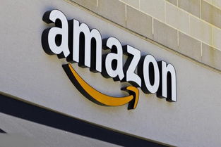 7. 参加行业展会