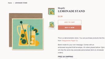 挑选Shopify主题模板的益处与弊端