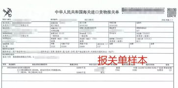 口岸选择与清关效率