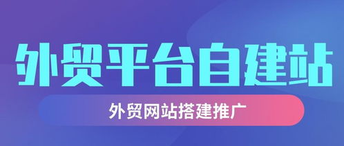 七、 网站推广费用：多渠道营销，持续投入