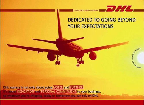 追踪与服务保障