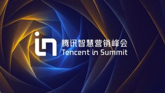 深入了解平台规则与用户需求